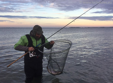 Spinnfischen in der Dämmerungsphase auf Meerforelle in Dänemrak (Fünen 2018).