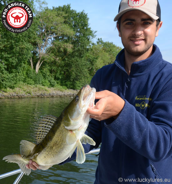 Daniel Leuchter, Nils Master Pro-Angler Deutschland, mit Zander aus einem niederländischen Kanal.