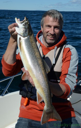 Luckylures: Der Importeur und Fachhndler der Marken Nils Master, Karikko,  Turus Ukko, Bagley, Bete und Gibbs Delta Den Seesaibling (in Schweden  Rding genannt) kann man super beim Angeln mit Downriggern fangen.
