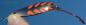 Preview: CROC Blinker, Gewicht: 10 Gramm, Farbe: Copper Fire Wing von Gibbs Delta