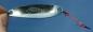 Preview: CROC Blinker, Gewicht: 10 Gramm, Farbe: Chrome Blue Stripe von Gibbs Delta
