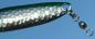 Preview: CROC Blinker, Gewicht: 14 Gramm, Farbe: Chrome Green Stripe von Gibbs Delta