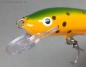 Preview: Nils Master Invincible 12 cm Floating Wobbler, Farbe: 032 grün/orange/rot/gepunktet, Gewicht: 24 Gramm