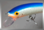 Preview: Nils Master Invincible 12 cm Floating Wobbler, Farbe: blau/weiß/glitter 046, Gewicht: 24 Gramm