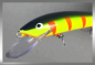 Preview: Nils Master INVINCIBLE Floating Wobbler, Größe: 15 cm, Farbe: 090 Petrol Tiger Red Stripes, Gewicht: 30 Gramm