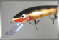 Preview: Nils Master INVINCIBLE Floating Wobbler, Größe: 15 cm, Farbe: 067 Copper Perch, Gewicht: 30 Gramm