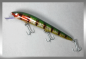 Preview: Nils Master INVINCIBLE Floating Wobbler, Größe: 15 cm, Farbe: 409 Green Glitter Red Stripes, Gewicht: 30 Gramm
