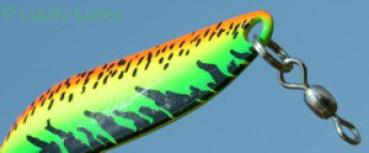 CROC Blinker, Gewicht: 14 Gramm, Farbe: FIRE TIGER von Gibbs Delta