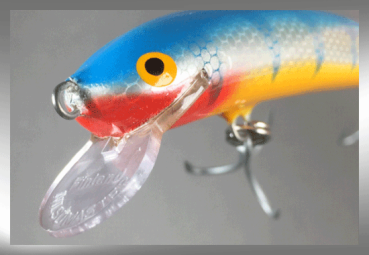 Nils Master INVINCIBLE Floating Wobbler, Größe: 12 cm, Farbe: 066 Blue Fish, Gewicht: 24 Gramm