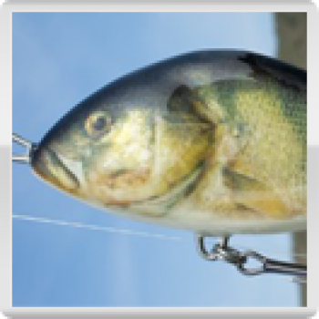 Jerkbait SLIDER, Farbe: Barsch, sinkend, Größe: 7 cm, von Salmo (Neuware mit leicht angegriffener Verpackung)