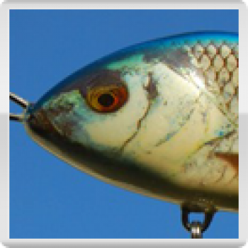 Jerkbait SLIDER, Farbe: Hering, sinkend, Größe: 7 cm, von Salmo (Neuware mit leicht angegriffener Verpackung)
