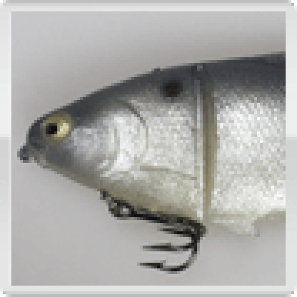 Castaic Platinum Swimbait (reduziert von 22,90 EUR auf 16,72 EUR  25 % Rabatt), 6 Zoll (15 cm), Form: Plötze fett, Farbe: Gizzard Blue, fast sinking