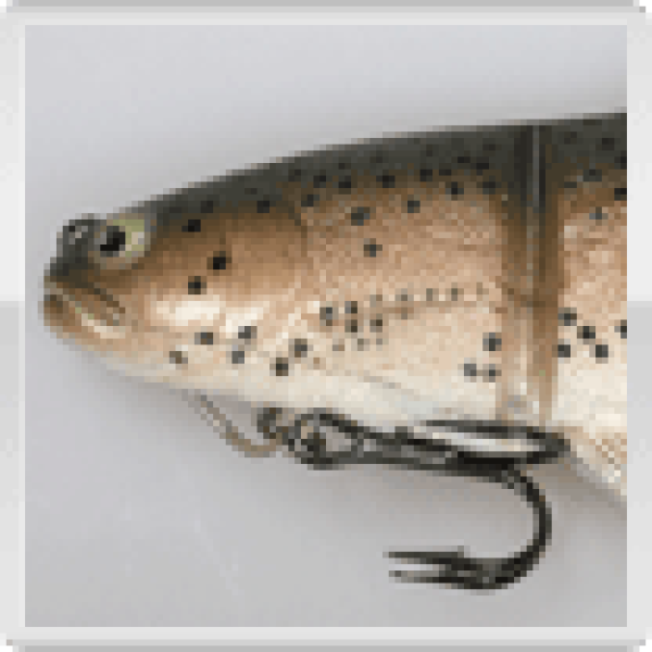 Castaic PlatinumTrout Swimbait (reduziert von 21,90 EUR auf 15,99 EUR  25 % Rabatt), 6 Zoll (15 cm), Farbe: Dark Rainbow, fast sinking