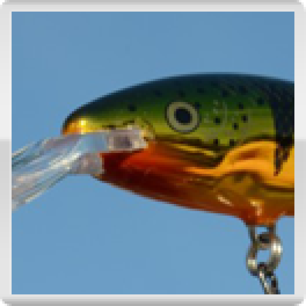 Wobbler DEEP TAILDANCER, Farbe: Barsch Flash, Größe: 11 cm, von Rapala