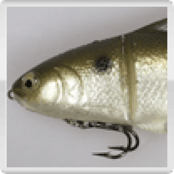 Castaic Platinum Threadfin Swimbait (reduziert von 22,90 EUR auf 16,72 EUR  25 % Rabatt), 6 Zoll (15 cm), Form: Plötze schmal, Farbe: Green, fast sinking