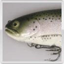 Castaic Platinum Swimbait Rainbow Trout (reduziert von 29,95 € auf 22,45 € = 25 % Rabatt), 8 Zoll (20,5 cm), Form: Forelle, fast sinking