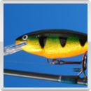 Wobbler SHAD RAP Deep Runner, Farbe: Barsch/Glanz, Länge: 9 cm, von Rapala